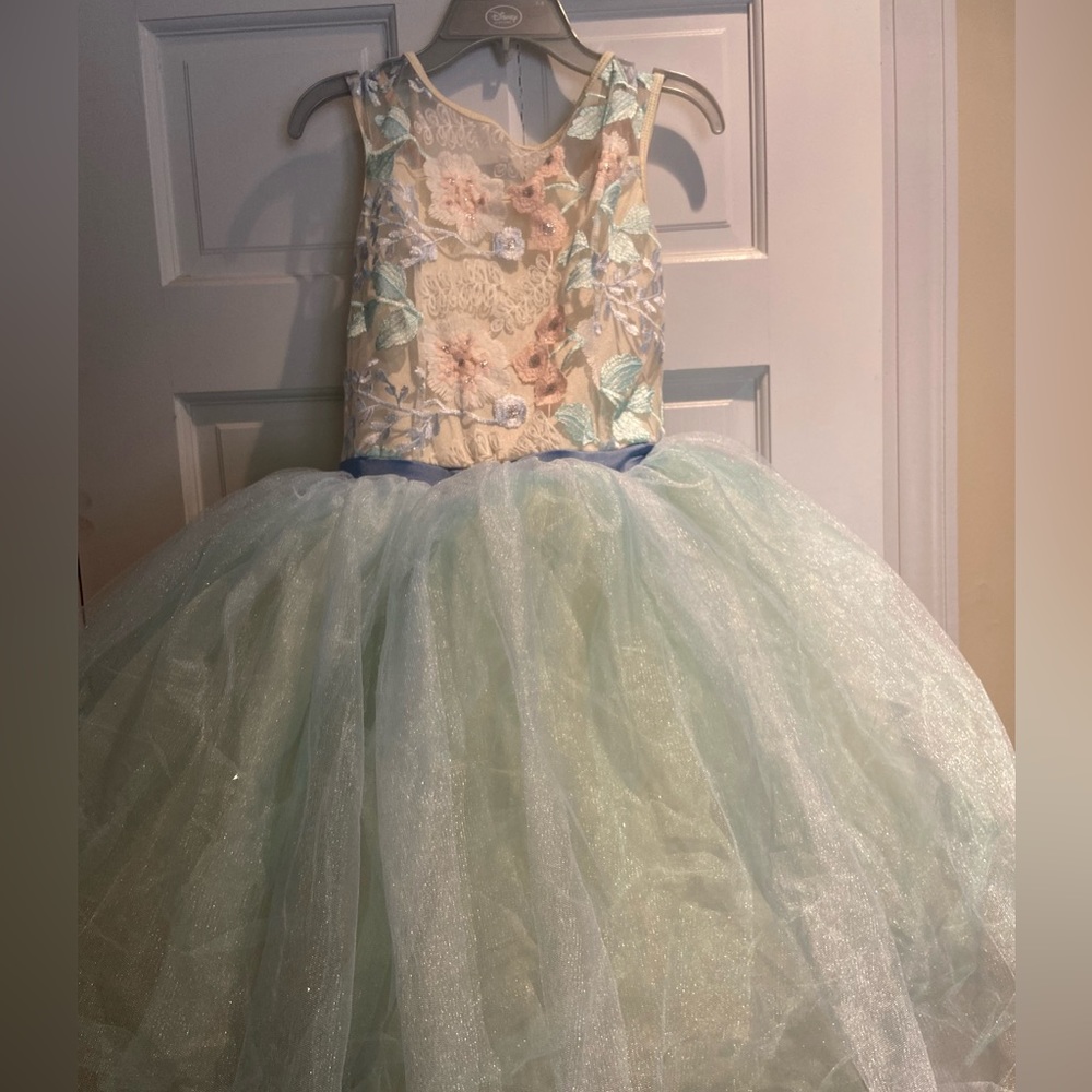 This was used once for a ballet recital - like new